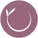 practicas-alineacion